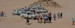 Gallery Thumbnail 2
