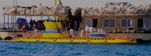 Gallery Thumbnail 3