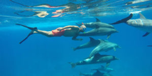 Gallery Thumbnail 0