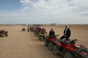 Gallery Thumbnail 1
