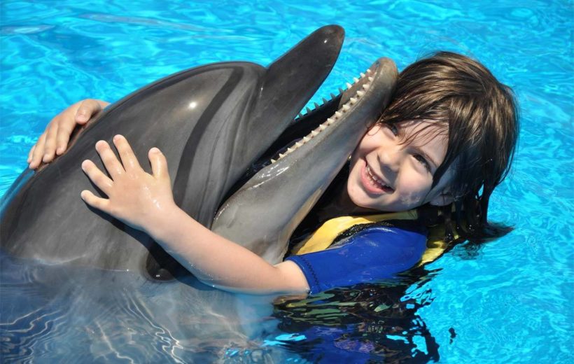 Swim with Dolphins in Hurghada