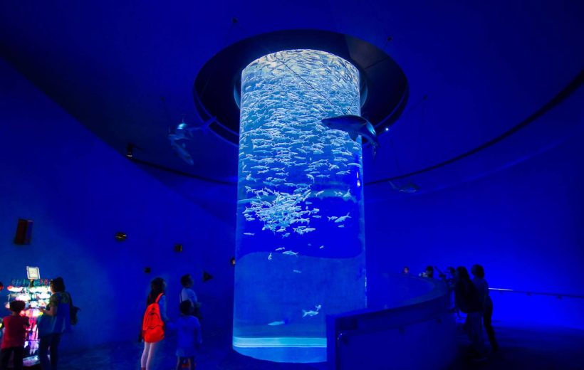 Hurghada Grand Aquarium