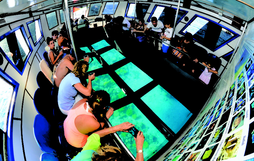 Glass Bottom Boat Trip