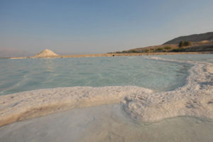 Gallery Thumbnail 0