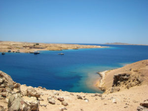Gallery Thumbnail 1