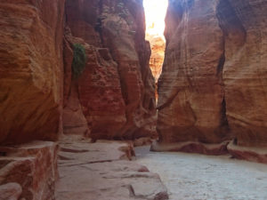 Gallery Thumbnail 3