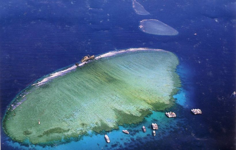 Snorkeling At Tiran Island