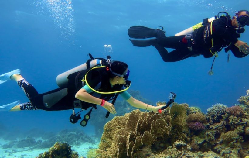 Diving At Tiran Island