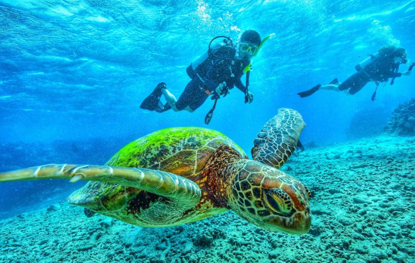 Diving and Fun in Sharm el sheikh 3 in 1