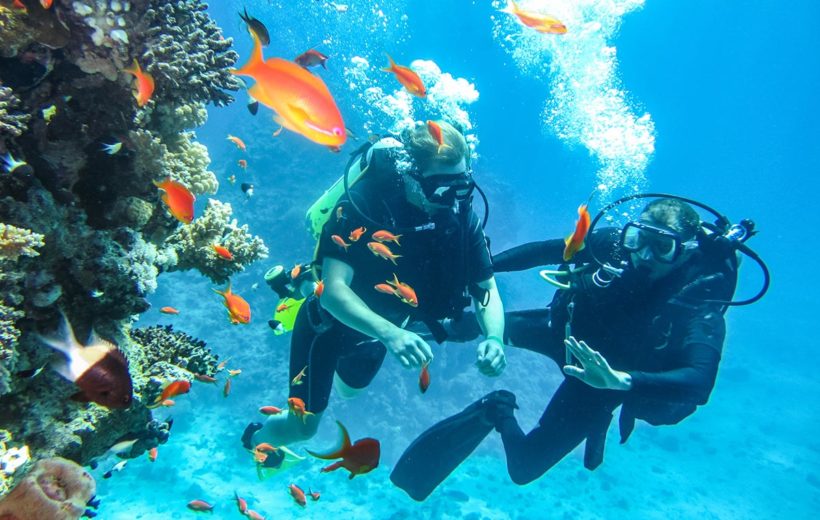 Dive Master Course (18 DAYS)