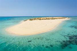 Ras Mohammed and white Island Snorkeling Trip